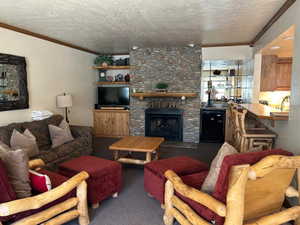 Living room with a fireplace, carpet, and a wet bar