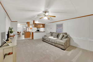 Carpeted living/family room