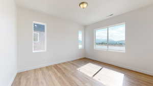 Empty room featuring a mountain view and light hardwood / wood-style floors