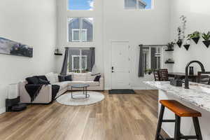 Living room with sink, light hardwood / wood-style floors, and a towering ceiling