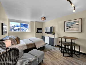 Bedroom featuring rail lighting and wood-type flooring