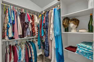 Spacious closet with carpet