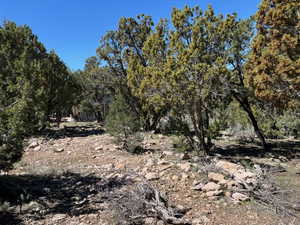 Photo 2 of 277 N PINION CIR