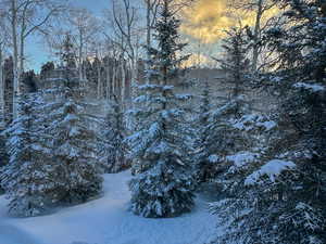 View of snow covered land