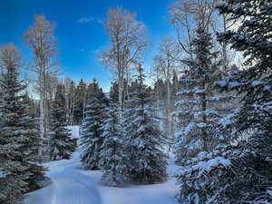 View of snow covered land