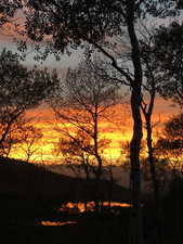 View of nature at dusk