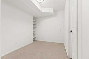 Walk in closet with carpet floors