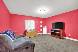 Interior space featuring carpet and a textured ceiling