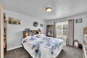 Carpeted bedroom featuring a textured ceiling