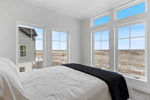 Carpeted bedroom featuring multiple windows