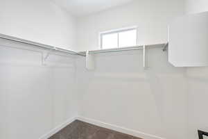 Spacious closet featuring dark carpet