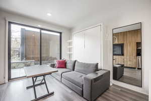 Living room featuring wood-type flooring