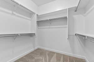Spacious closet with carpet flooring