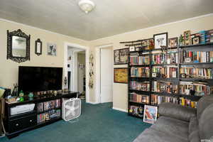 Carpeted living area with crown molding