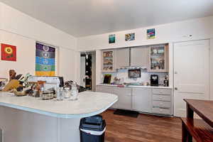 Kitchen with gray cabinets, dark wood-type flooring, and kitchen peninsula