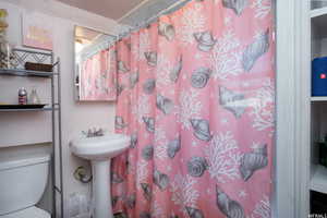 Bathroom featuring a shower with shower curtain