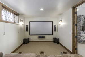 View of carpeted home theater