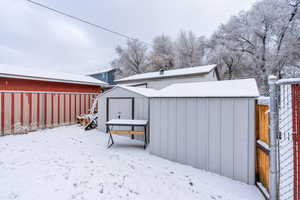 Backyard storage shed