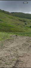 View of local wilderness with a rural view