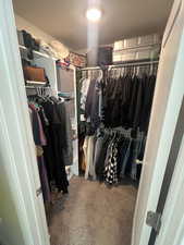 Spacious closet featuring carpet