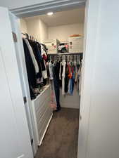 Walk in closet with dark colored carpet