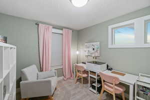 Office space featuring a textured ceiling and light colored carpet