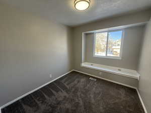 Spare room with baseboards, visible vents, a textured ceiling, and carpet flooring