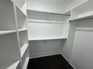 Walk in closet featuring carpet floors