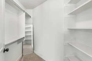 Walk in closet featuring light colored carpet