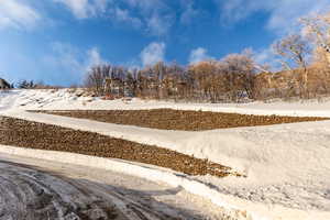 View of snowy yard