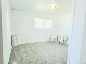 Master bedroom with carpet