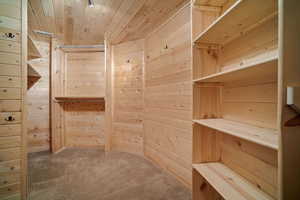 Spacious closet featuring carpet floors