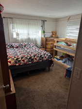 Bedroom with multiple windows, carpet flooring, and a textured ceiling