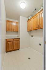 Laundry area with gas dryer hookup, a textured ceiling, hookup for a washing machine, hookup for an electric dryer, and cabinets