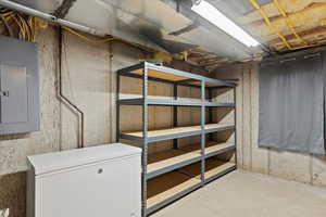 Storage in Basement