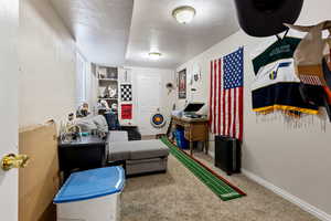 Game room with carpet flooring and a textured ceiling