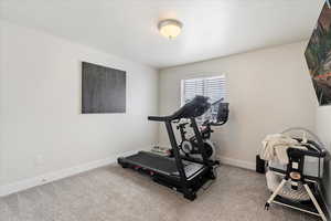 Exercise area featuring carpet floors