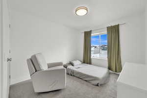 Bedroom with light colored carpet