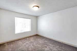 Empty room featuring carpet and a textured ceiling