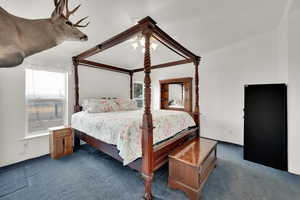 Carpeted bedroom with ceiling fan