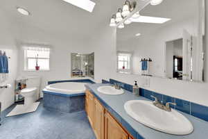 Full bathroom featuring toilet, a skylight, a wealth of natural light, and vanity