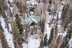 View of snowy aerial view