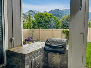 Outdoor grill/kitchen (Summer View)