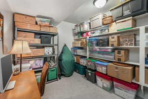 Huge Storage Closet (Also used as a Second Office)