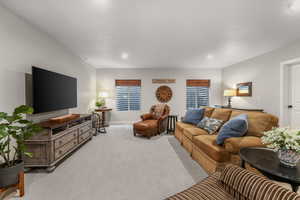 Basement Family Room