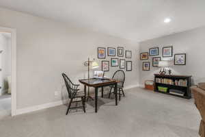 Basement Family Room