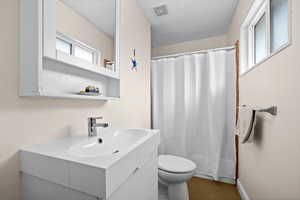 Bathroom featuring wood-type flooring, vanity, and toilet