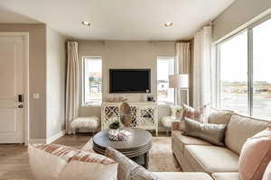 Living room featuring light wood-type flooring