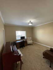 Office space with ornamental molding and light colored carpet