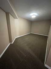 Basement with dark carpet